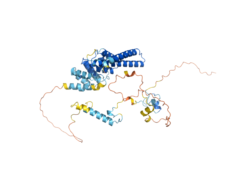 AlphaFold predicted structure of THI2