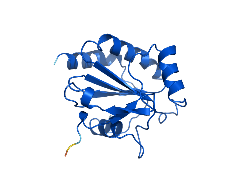 AlphaFold predicted structure of GPX2