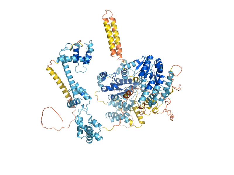AlphaFold predicted structure of ISW1