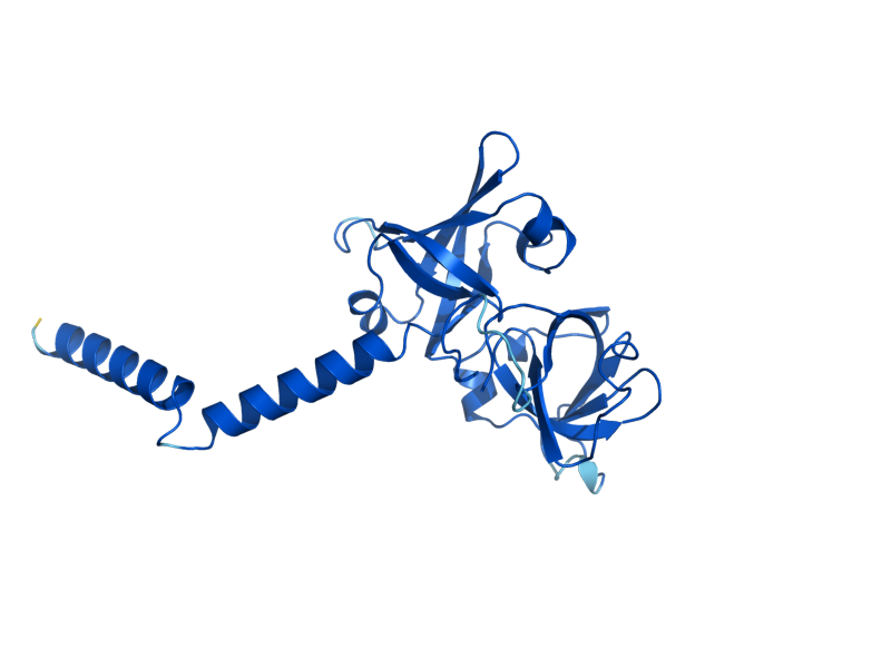 AlphaFold predicted structure of RIB5