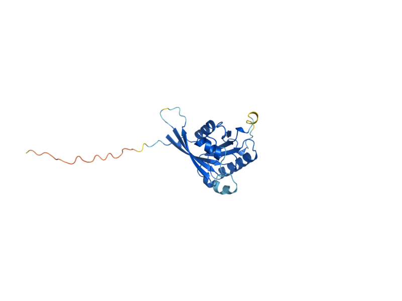 AlphaFold predicted structure of YPT10