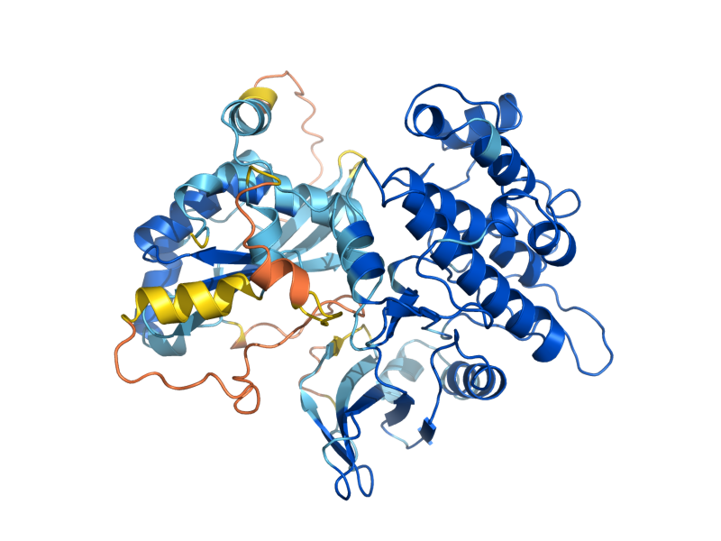 AlphaFold predicted structure of CHK1