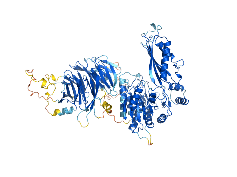 AlphaFold predicted structure of DUG2
