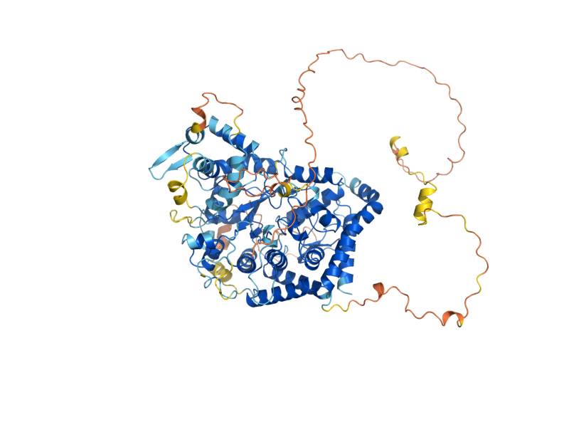 AlphaFold predicted structure of YBR284W