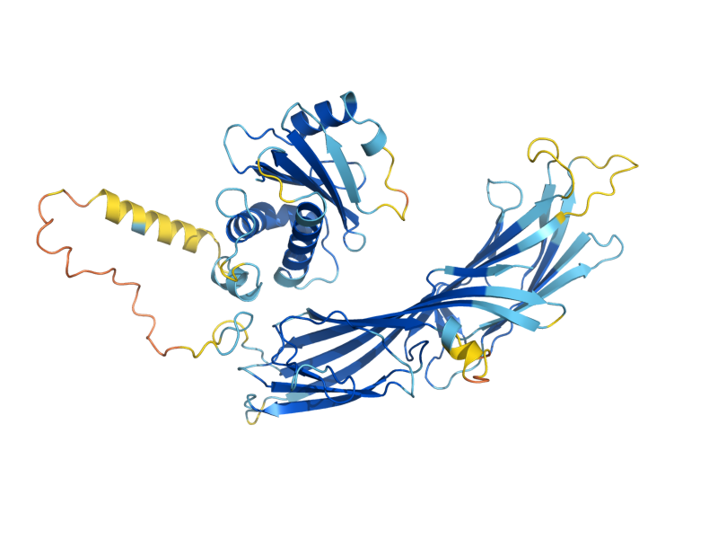 AlphaFold predicted structure of APM3