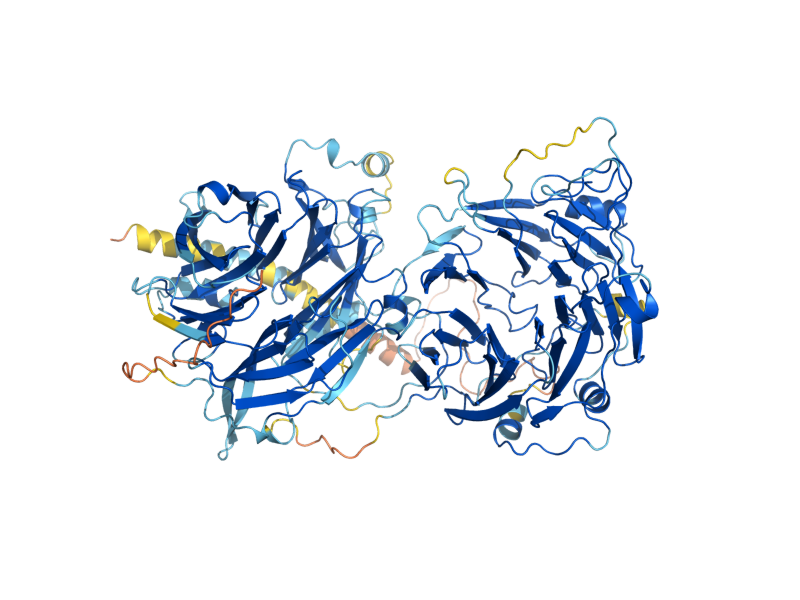 AlphaFold predicted structure of SRO77
