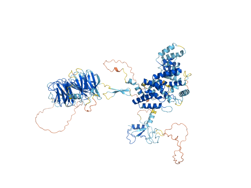 AlphaFold predicted structure of SEA4