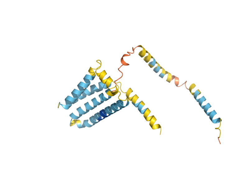 AlphaFold predicted structure of SFT2