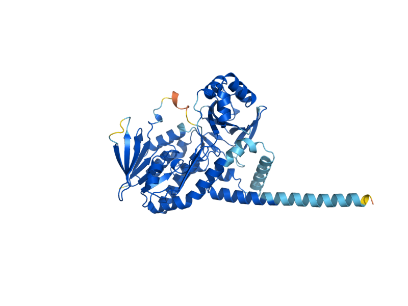 AlphaFold predicted structure of BNA4