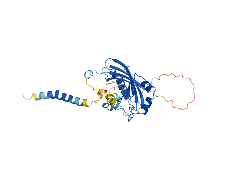 AlphaFold predicted structure of MRX3