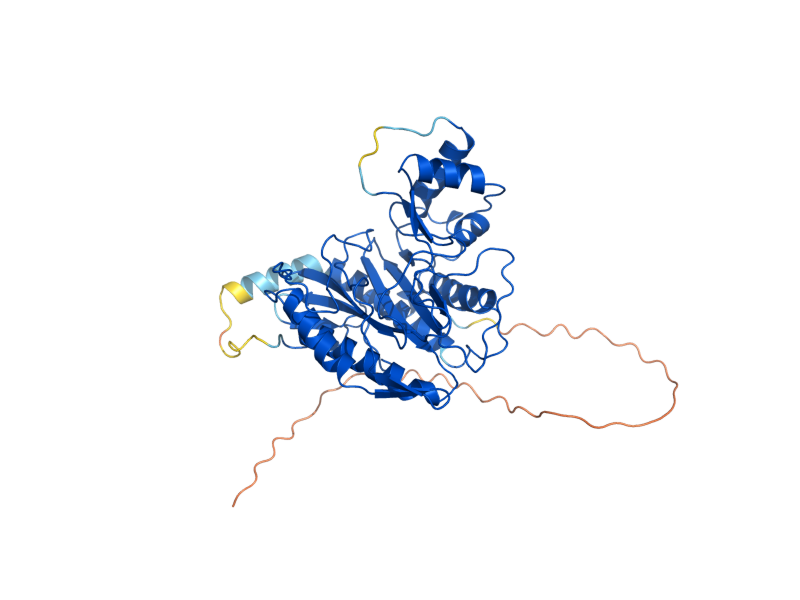 AlphaFold predicted structure of MAP2