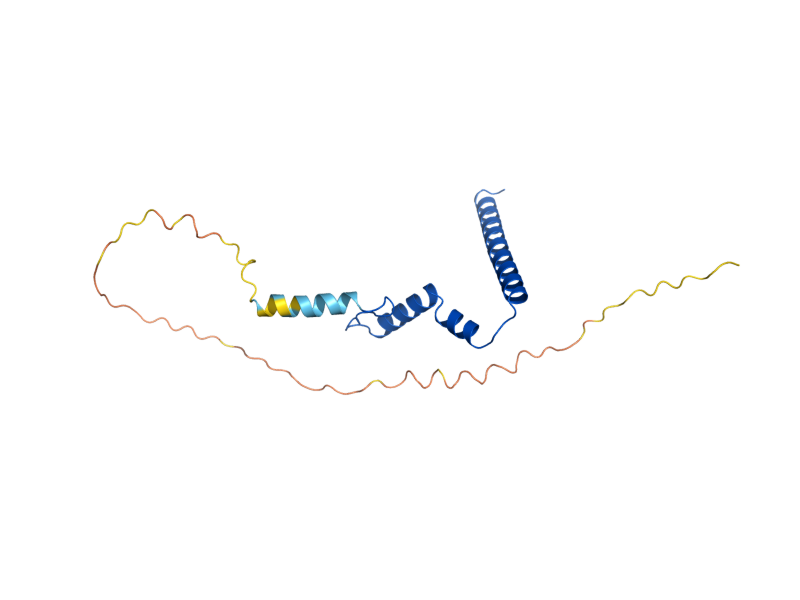 AlphaFold predicted structure of MRP21