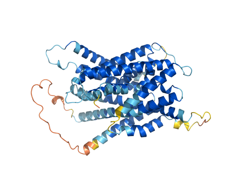 AlphaFold predicted structure of AVT5