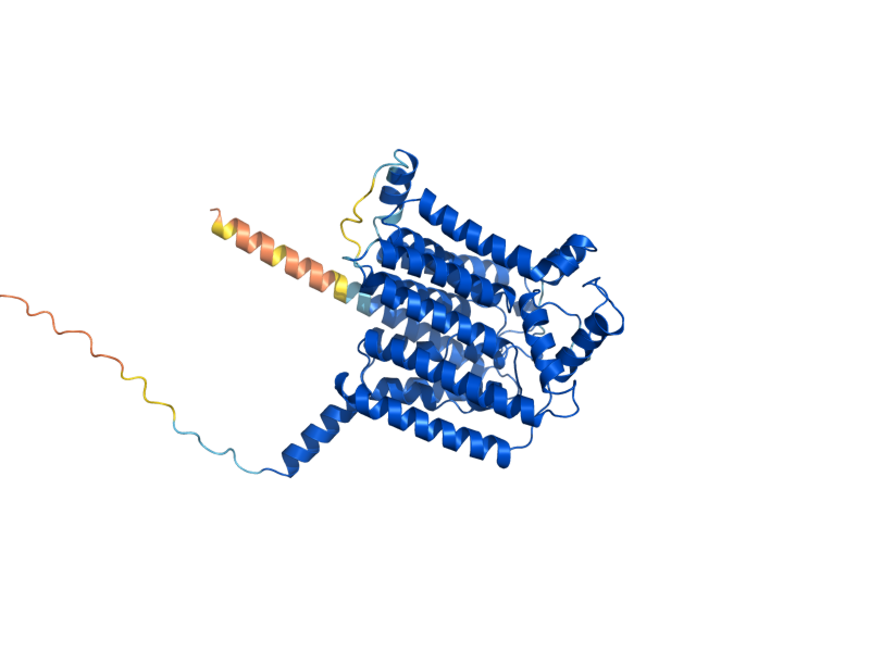 AlphaFold predicted structure of ALG3