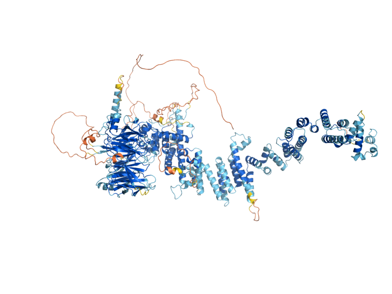 AlphaFold predicted structure of NUP170