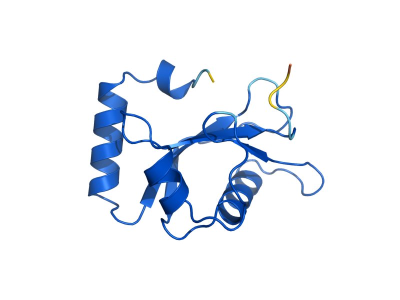 AlphaFold predicted structure of ATG8