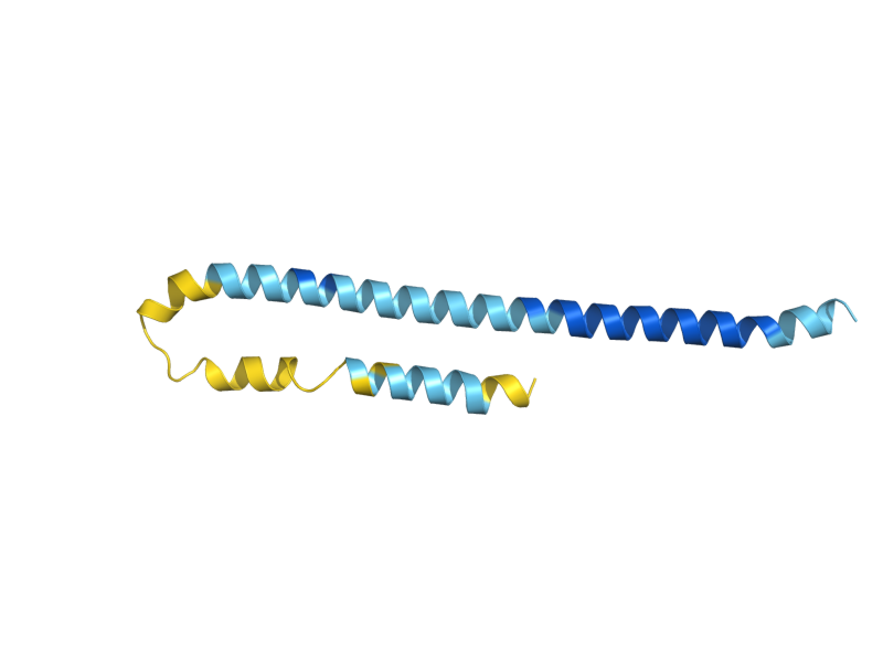 AlphaFold predicted structure of RRT1