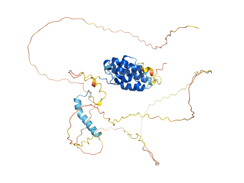 AlphaFold predicted structure of PSY4