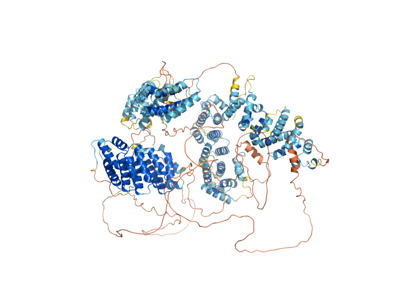 AlphaFold predicted structure of STU1
