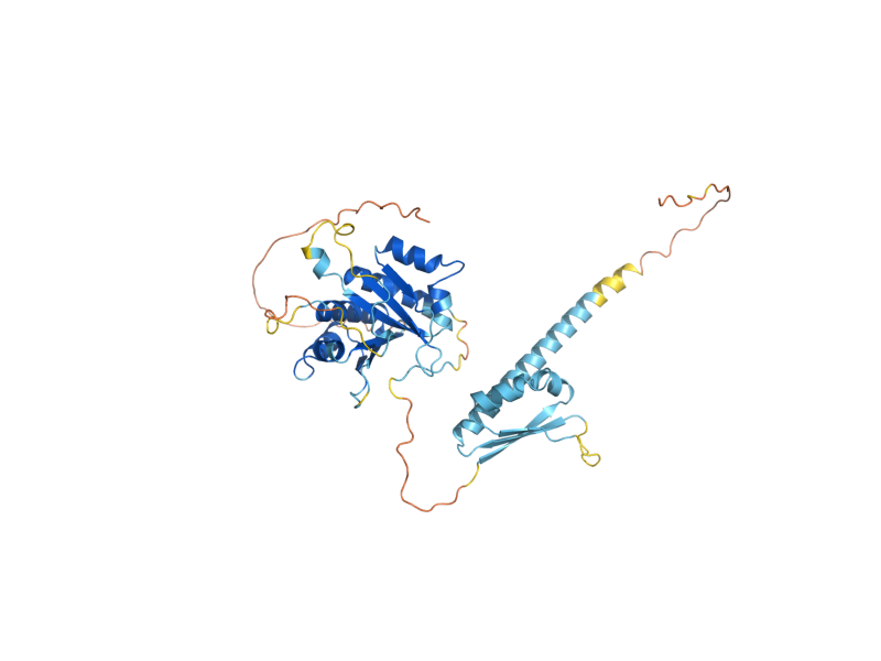 AlphaFold predicted structure of HEK2