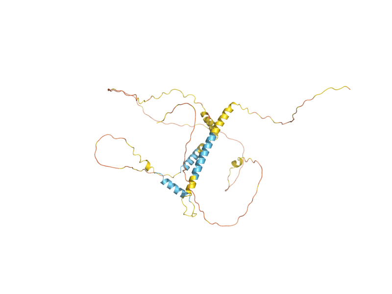 AlphaFold predicted structure of SHE1