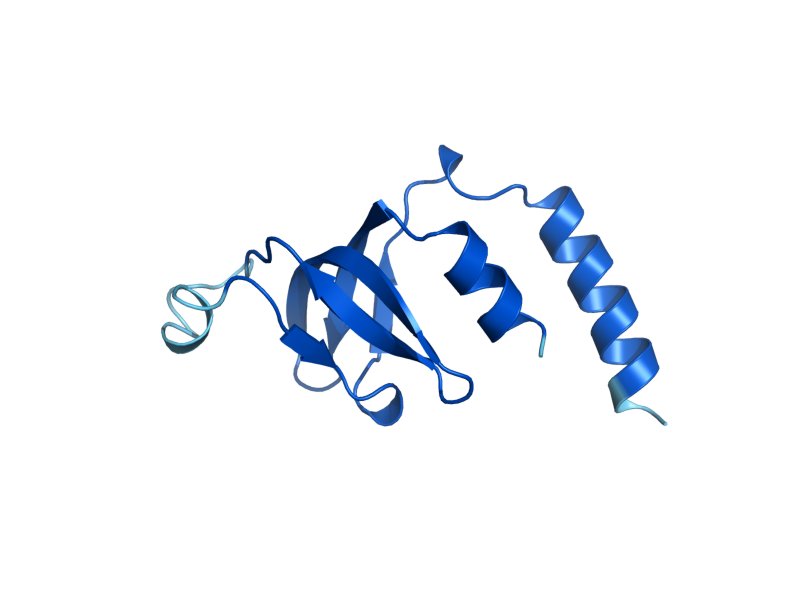 AlphaFold predicted structure of LSM2