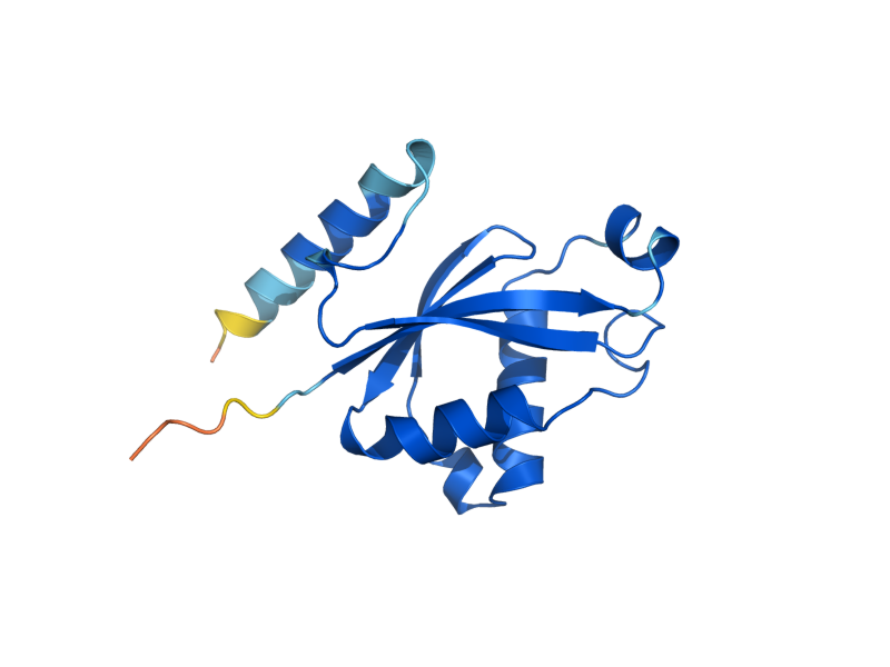AlphaFold predicted structure of POP8
