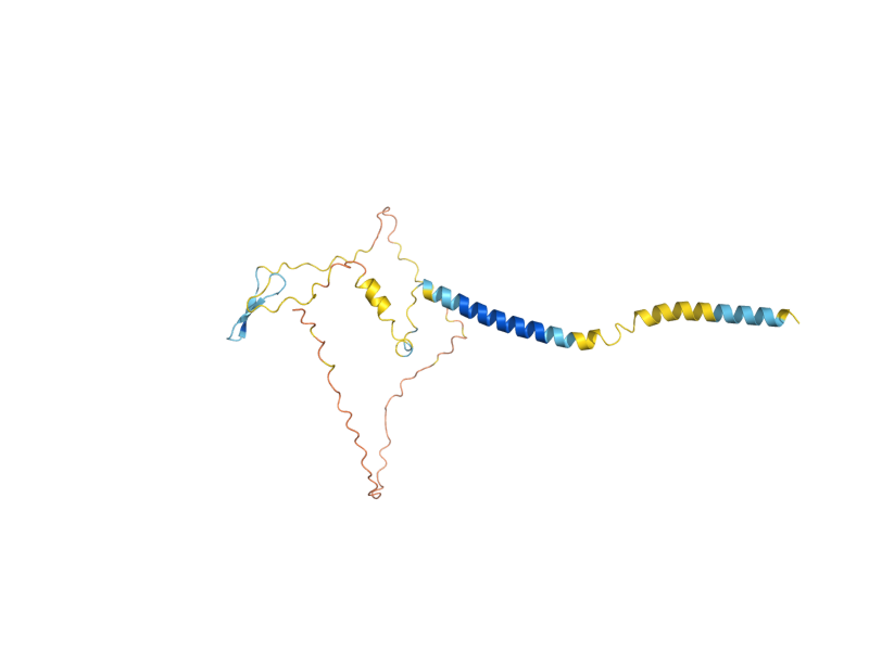 AlphaFold predicted structure of RCR1