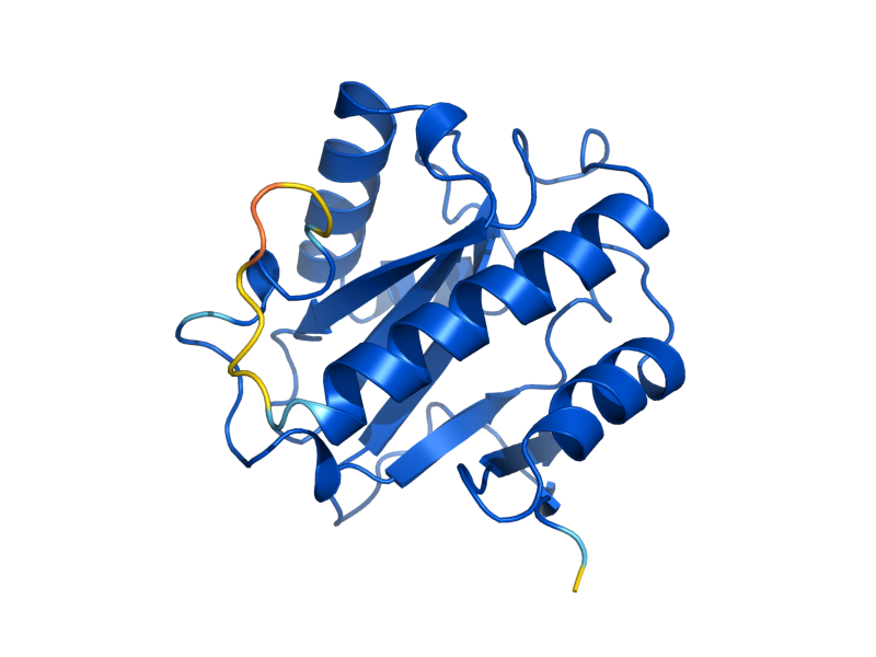 AlphaFold predicted structure of POA1