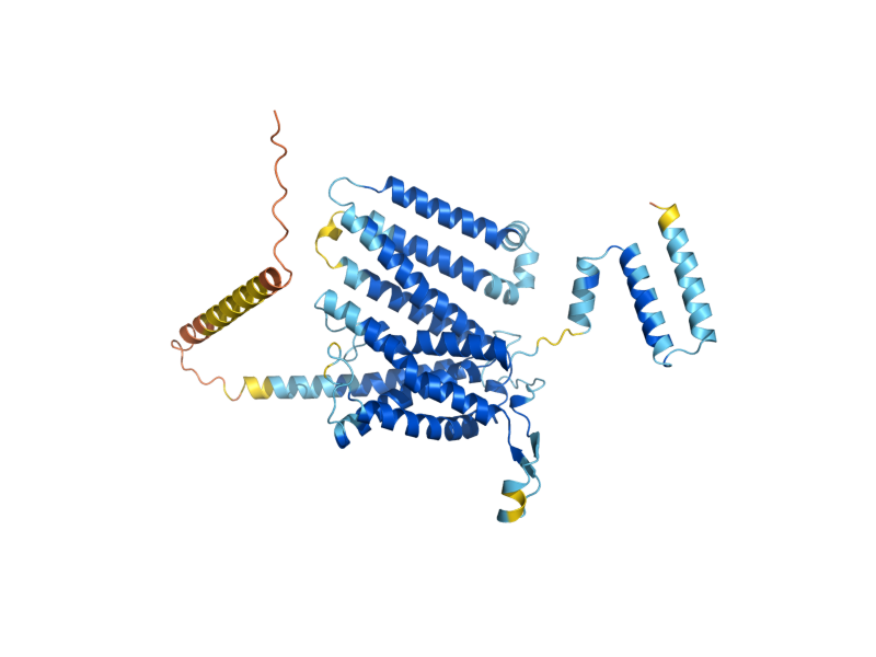 AlphaFold predicted structure of CDS1