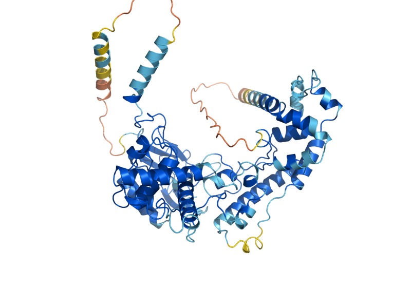 AlphaFold predicted structure of RKM3