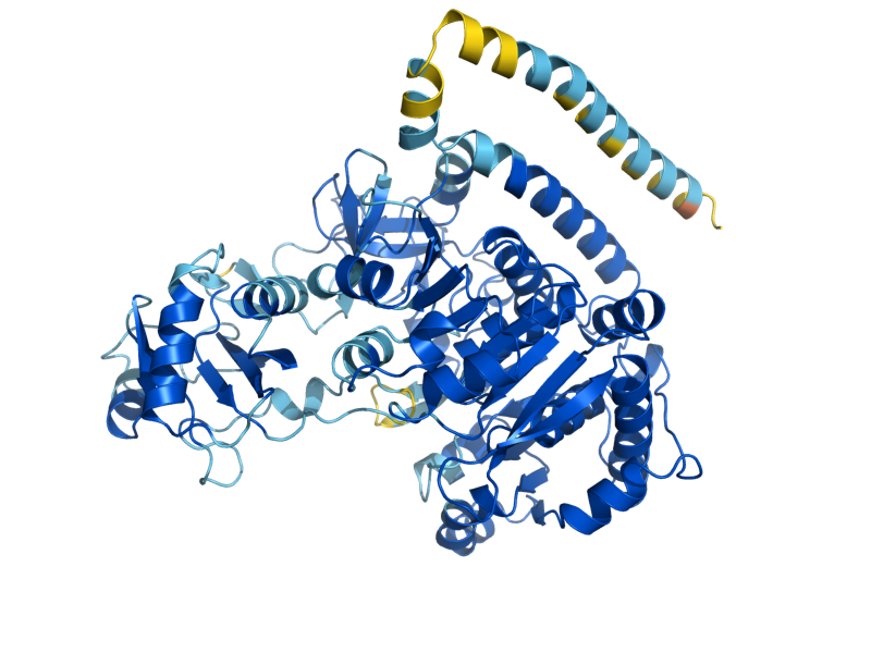 AlphaFold predicted structure of FAT1