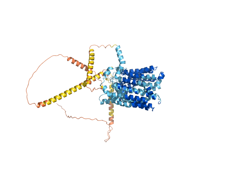 AlphaFold predicted structure of QDR3