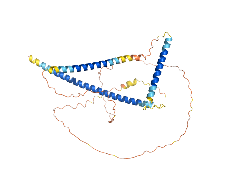 AlphaFold predicted structure of MUM2