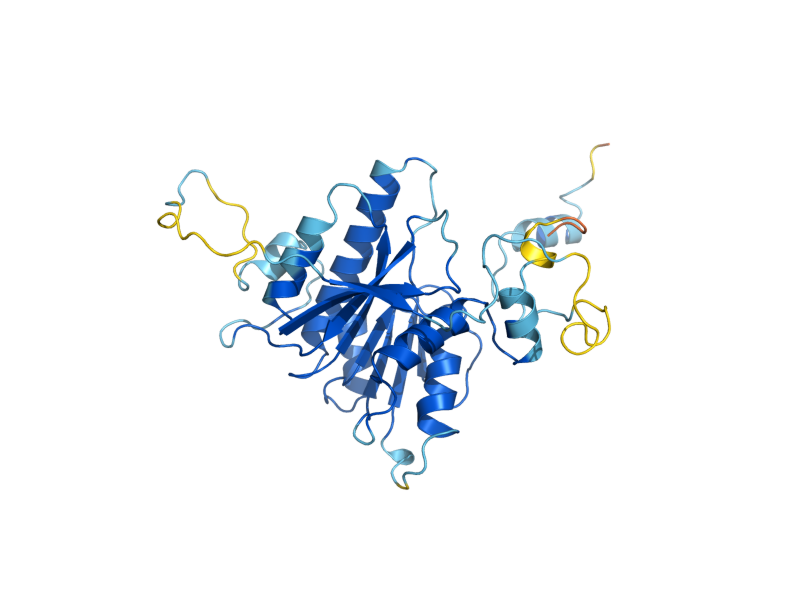 AlphaFold predicted structure of TRM7