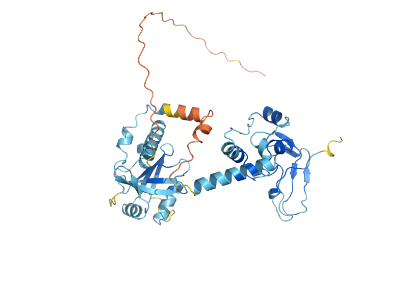 AlphaFold predicted structure of ECM2