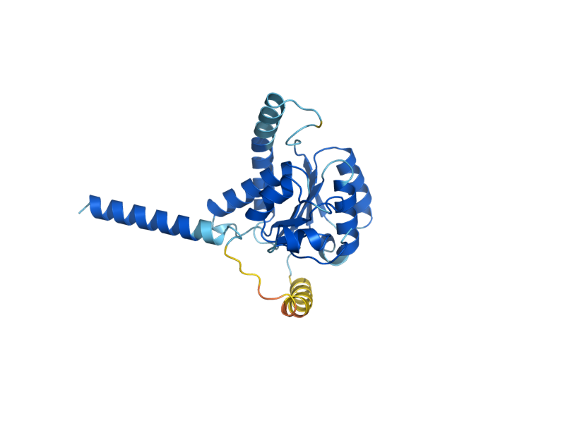 AlphaFold predicted structure of ALG14