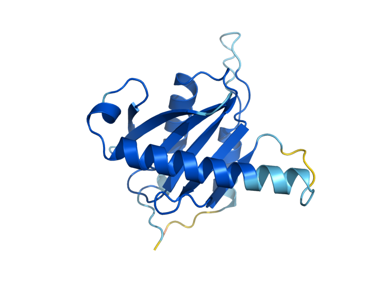 AlphaFold predicted structure of SLM4
