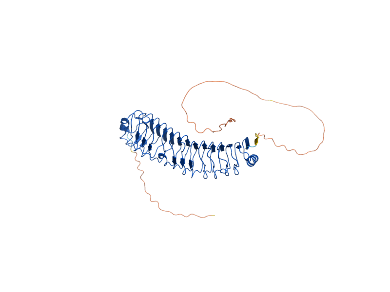 AlphaFold predicted structure of ECM33