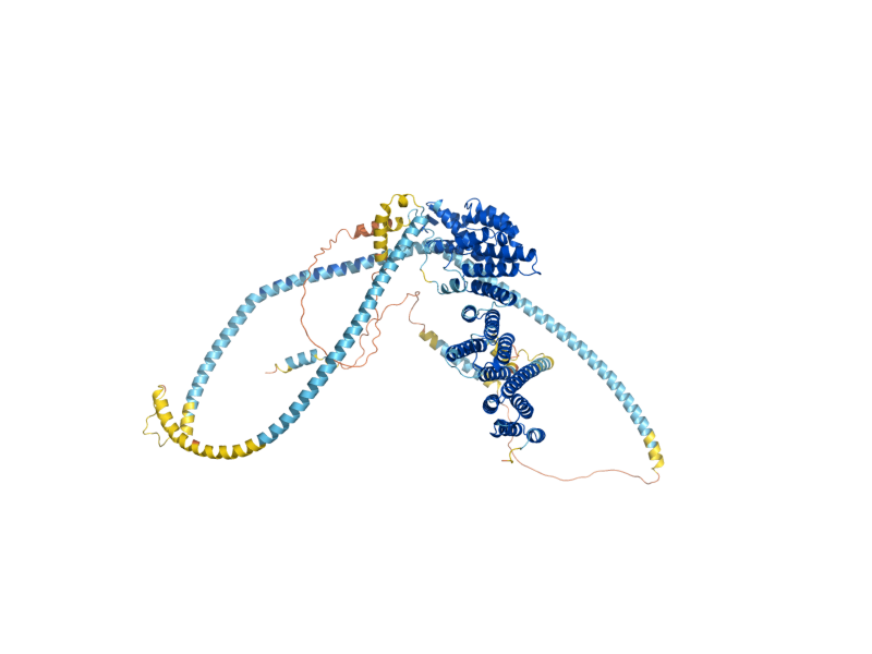 AlphaFold predicted structure of RPG1
