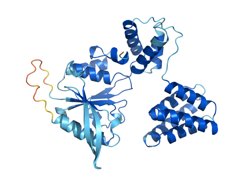 AlphaFold predicted structure of RFC5