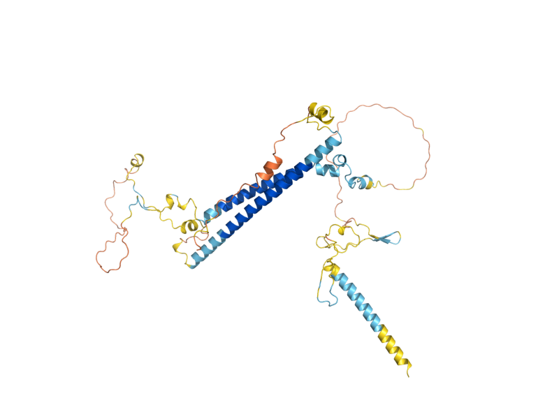 AlphaFold predicted structure of RXT2