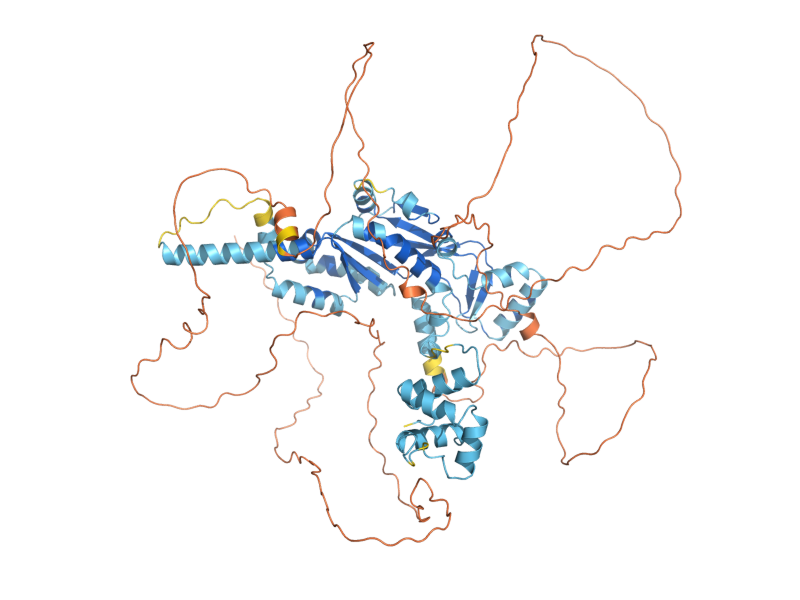 AlphaFold predicted structure of MMS4