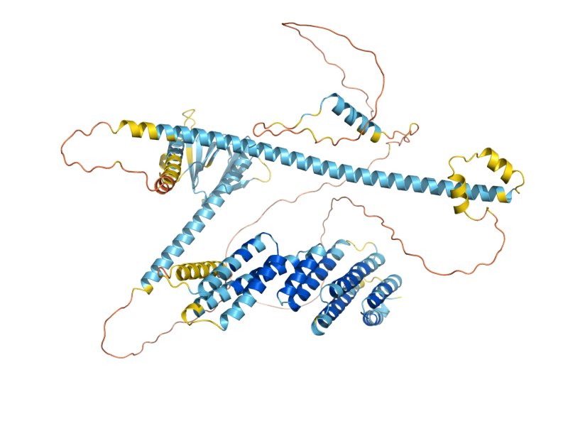 AlphaFold predicted structure of EXO84