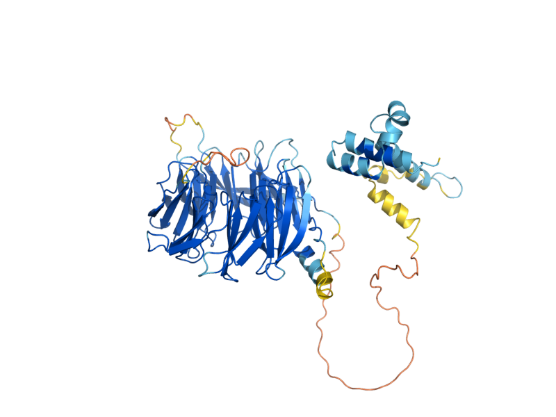 AlphaFold predicted structure of SIF2