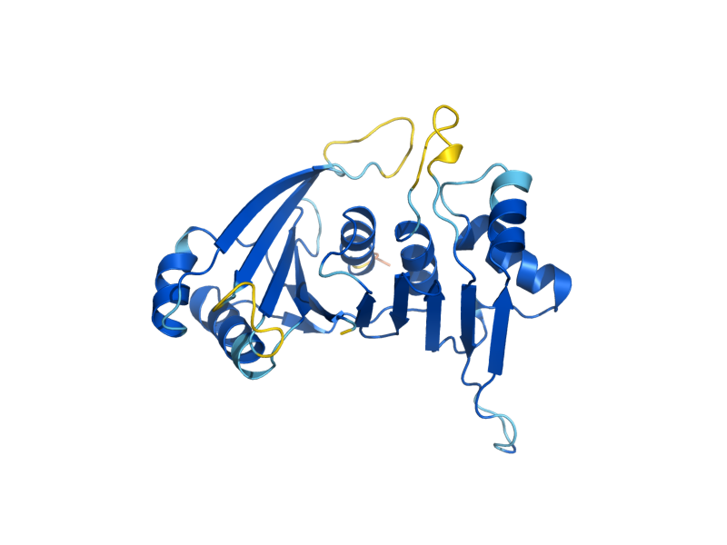 AlphaFold predicted structure of IML3