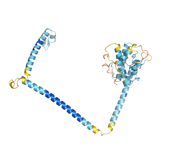 AlphaFold predicted structure of ATG14