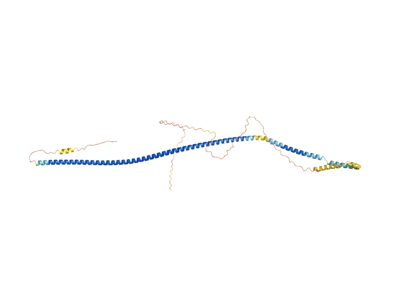 AlphaFold predicted structure of SHE3