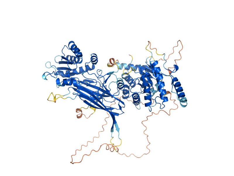 AlphaFold predicted structure of HSL7