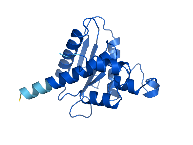 AlphaFold predicted structure of YBR137W